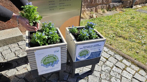 PflanzaktionVergissmeinnicht2025