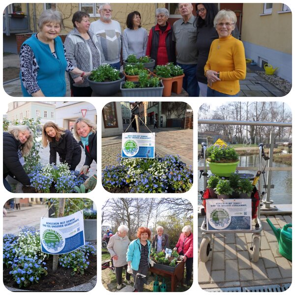 Bild vergr&ouml;&szlig;ern: Vergissmeinnicht Collage 2026